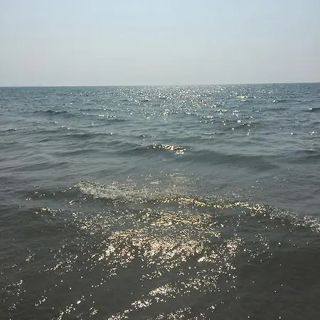 Apartament Alba Luxury *